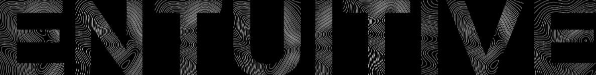 Entuitive Logo